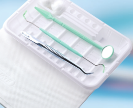 disposable dental kit